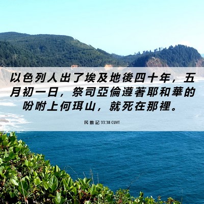 Picture 06 - 民 數 記 33:38 CUVT - 以 色 列 人 出 了 埃 及 地 後 四 十 - Bible Verse Picture