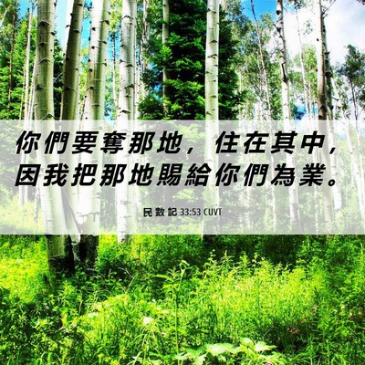 Picture 06 - 民 數 記 33:53 CUVT - 你 們 要 奪 那 地 ， 住 在 其 中 ， - Bible Verse Picture