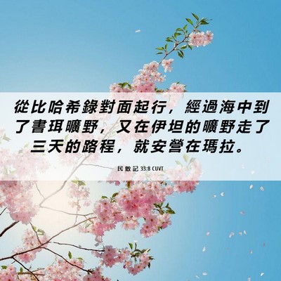 Picture 06 - 民 數 記 33:8 CUVT - 從 比 哈 希 錄 對 面 起 行 ， 經 過 - Bible Verse Picture