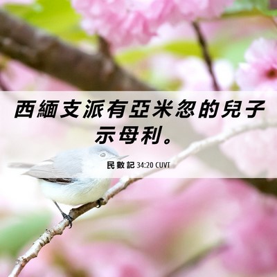 Picture 06 - 民 數 記 34:20 CUVT - 西 緬 支 派 有 亞 米 忽 的 兒 子 示 - Bible Verse Picture