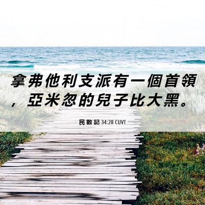 Picture 06 - 民 數 記 34:28 CUVT - 拿 弗 他 利 支 派 有 一 個 首 領 ， - Bible Verse Picture
