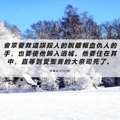 Picture 06 - 民 數 記 35:25 CUVT - 會 眾 要 救 這 誤 殺 人 的 脫 離 報 - Bible Verse Picture