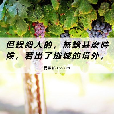 Picture 06 - 民 數 記 35:26 CUVT - 但 誤 殺 人 的 ， 無 論 甚 麼 時 候 - Bible Verse Picture