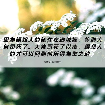 Picture 06 - 民 數 記 35:28 CUVT - 因 為 誤 殺 人 的 該 住 在 逃 城 裡 - Bible Verse Picture