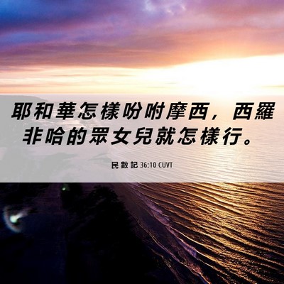 Picture 06 - 民 數 記 36:10 CUVT - 耶 和 華 怎 樣 吩 咐 摩 西 ， 西 羅 - Bible Verse Picture