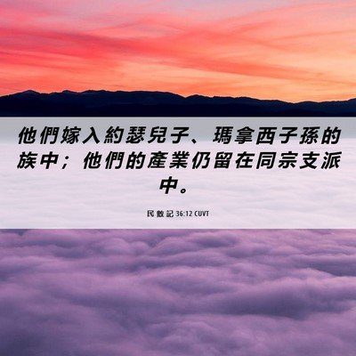 Picture 06 - 民 數 記 36:12 CUVT - 他 們 嫁 入 約 瑟 兒 子 、 瑪 拿 西 - Bible Verse Picture