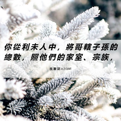 Picture 06 - 民 數 記 4:2 CUVT - 你 從 利 未 人 中 ， 將 哥 轄 子 孫 - Bible Verse Picture