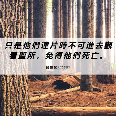 Picture 06 - 民 數 記 4:20 CUVT - 只 是 他 們 連 片 時 不 可 進 去 觀 - Bible Verse Picture