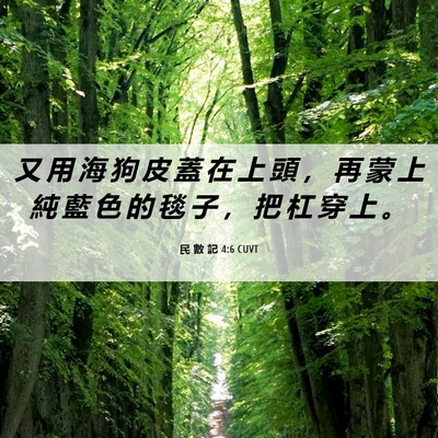Picture 06 - 民 數 記 4:6 CUVT - 又 用 海 狗 皮 蓋 在 上 頭 ， 再 蒙 - Bible Verse Picture