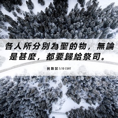 Picture 06 - 民 數 記 5:10 CUVT - 各 人 所 分 別 為 聖 的 物 ， 無 論 - Bible Verse Picture