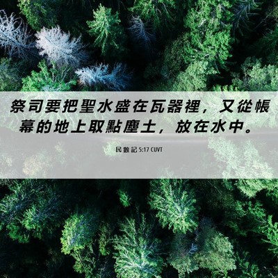 Picture 06 - 民 數 記 5:17 CUVT - 祭 司 要 把 聖 水 盛 在 瓦 器 裡 ， - Bible Verse Picture