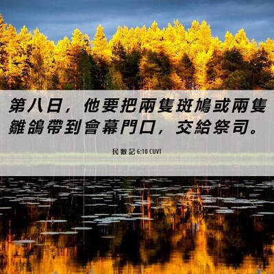Picture 06 - 民 數 記 6:10 CUVT - 第 八 日 ， 他 要 把 兩 隻 斑 鳩 或 - Bible Verse Picture
