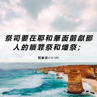 Picture 06 - 民 數 記 6:16 CUVT - 祭 司 要 在 耶 和 華 面 前 獻 那 人 - Bible Verse Picture
