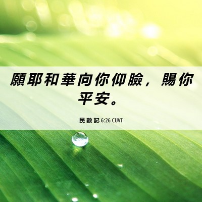 Picture 06 - 民 數 記 6:26 CUVT - 願 耶 和 華 向 你 仰 臉 ， 賜 你 平 - Bible Verse Picture