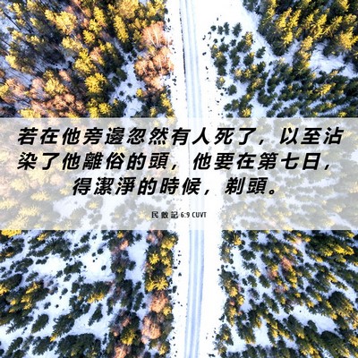 Picture 06 - 民 數 記 6:9 CUVT - 若 在 他 旁 邊 忽 然 有 人 死 了 ， - Bible Verse Picture