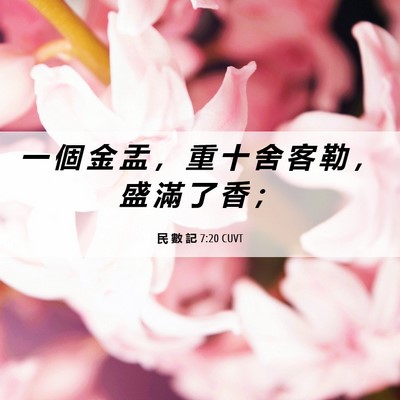 Picture 06 - 民 數 記 7:20 CUVT - 一 個 金 盂 ， 重 十 舍 客 勒 ， 盛 - Bible Verse Picture