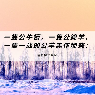Picture 06 - 民 數 記 7:33 CUVT - 一 隻 公 牛 犢 ， 一 隻 公 綿 羊 ， - Bible Verse Picture