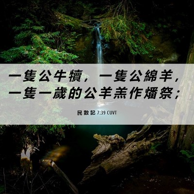Picture 06 - 民 數 記 7:39 CUVT - 一 隻 公 牛 犢 ， 一 隻 公 綿 羊 ， - Bible Verse Picture