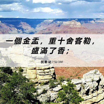Picture 06 - 民 數 記 7:56 CUVT - 一 個 金 盂 ， 重 十 舍 客 勒 ， 盛 - Bible Verse Picture