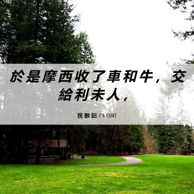Picture 06 - 民 數 記 7:6 CUVT - 於 是 摩 西 收 了 車 和 牛 ， 交 給 - Bible Verse Picture