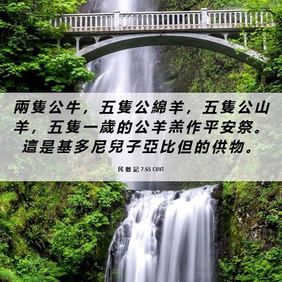 Picture 06 - 民 數 記 7:65 CUVT - 兩 隻 公 牛 ， 五 隻 公 綿 羊 ， 五 - Bible Verse Picture