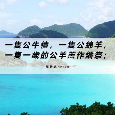 Picture 06 - 民 數 記 7:69 CUVT - 一 隻 公 牛 犢 ， 一 隻 公 綿 羊 ， - Bible Verse Picture