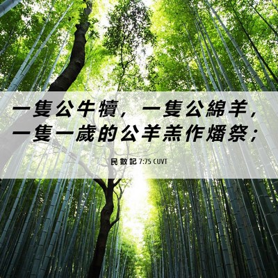 Picture 06 - 民 數 記 7:75 CUVT - 一 隻 公 牛 犢 ， 一 隻 公 綿 羊 ， - Bible Verse Picture