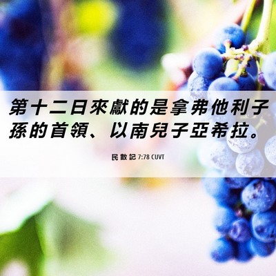 Picture 06 - 民 數 記 7:78 CUVT - 第 十 二 日 來 獻 的 是 拿 弗 他 利 - Bible Verse Picture