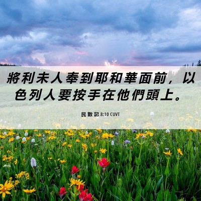 Picture 06 - 民 數 記 8:10 CUVT - 將 利 未 人 奉 到 耶 和 華 面 前 ， - Bible Verse Picture