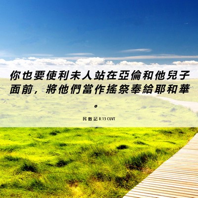 Picture 06 - 民 數 記 8:13 CUVT - 你 也 要 使 利 未 人 站 在 亞 倫 和 - Bible Verse Picture