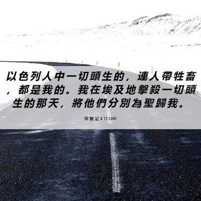 Picture 06 - 民 數 記 8:17 CUVT - 以 色 列 人 中 一 切 頭 生 的 ， 連 - Bible Verse Picture