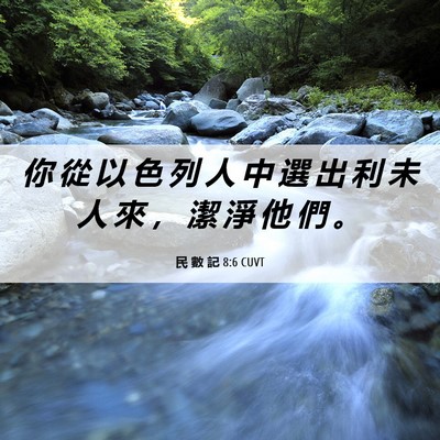 Picture 06 - 民 數 記 8:6 CUVT - 你 從 以 色 列 人 中 選 出 利 未 人 - Bible Verse Picture