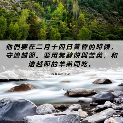 Picture 06 - 民 數 記 9:11 CUVT - 他 們 要 在 二 月 十 四 日 黃 昏 的 - Bible Verse Picture