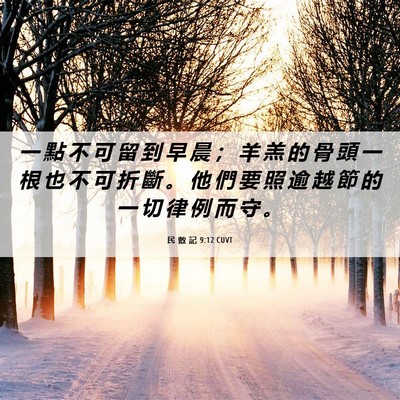 Picture 06 - 民 數 記 9:12 CUVT - 一 點 不 可 留 到 早 晨 ； 羊 羔 的 - Bible Verse Picture