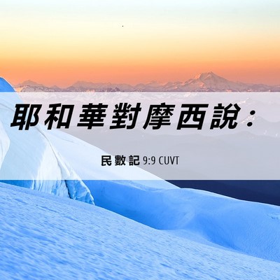 Picture 06 - 民 數 記 9:9 CUVT - 耶 和 華 對 摩 西 說 - Bible Verse Picture
