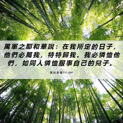 Picture 06 - 瑪 拉 基 書 3:17 CUVT - 萬 軍 之 耶 和 華 說 ： 在 我 所 定 - Bible Verse Picture