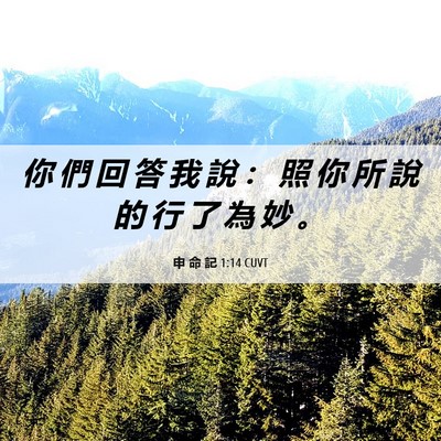 Picture 06 - 申 命 記 1:14 CUVT - 你 們 回 答 我 說 ： 照 你 所 說 的 - Bible Verse Picture
