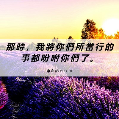 Picture 06 - 申 命 記 1:18 CUVT - 那 時 ， 我 將 你 們 所 當 行 的 事 - Bible Verse Picture