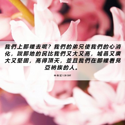 Picture 06 - 申 命 記 1:28 CUVT - 我 們 上 那 裡 去 呢 ？ 我 們 的 弟 - Bible Verse Picture