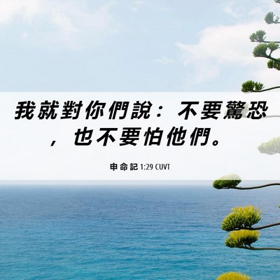 Picture 06 - 申 命 記 1:29 CUVT - 我 就 對 你 們 說 ： 不 要 驚 恐 ， - Bible Verse Picture