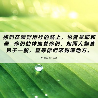 Picture 06 - 申 命 記 1:31 CUVT - 你 們 在 曠 野 所 行 的 路 上 ， 也 - Bible Verse Picture