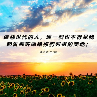 Picture 06 - 申 命 記 1:35 CUVT - 這 惡 世 代 的 人 ， 連 一 個 也 不 - Bible Verse Picture