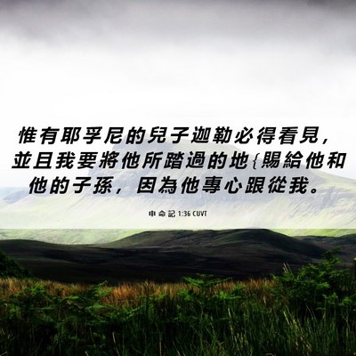 Picture 06 - 申 命 記 1:36 CUVT - 惟 有 耶 孚 尼 的 兒 子 迦 勒 必 得 - Bible Verse Picture