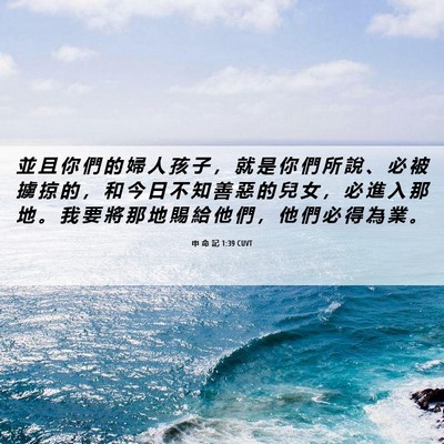 Picture 06 - 申 命 記 1:39 CUVT - 並 且 你 們 的 婦 人 孩 子 ， 就 是 - Bible Verse Picture