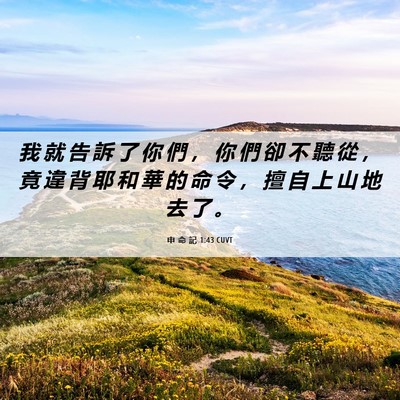 Picture 06 - 申 命 記 1:43 CUVT - 我 就 告 訴 了 你 們 ， 你 們 卻 不 - Bible Verse Picture