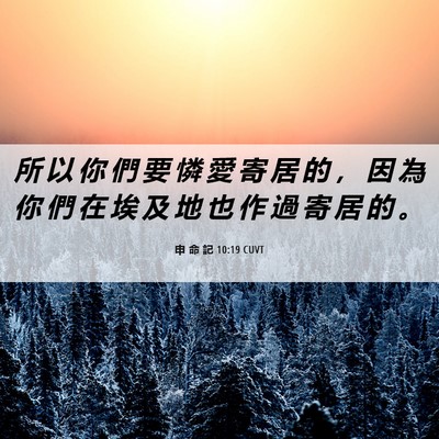 Picture 06 - 申 命 記 10:19 CUVT - 所 以 你 們 要 憐 愛 寄 居 的 ， 因 - Bible Verse Picture