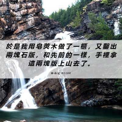 Picture 06 - 申 命 記 10:3 CUVT - 於 是 我 用 皂 莢 木 做 了 一 櫃 ， - Bible Verse Picture
