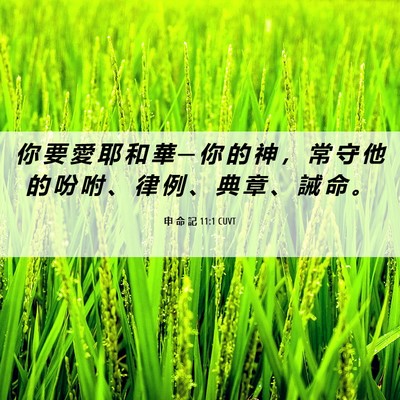 Picture 06 - 申 命 記 11:1 CUVT - 你 要 愛 耶 和 華 ─ 你 的 神 ， 常 - Bible Verse Picture