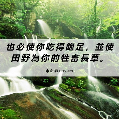 Picture 06 - 申 命 記 11:15 CUVT - 也 必 使 你 吃 得 飽 足 ， 並 使 田 - Bible Verse Picture