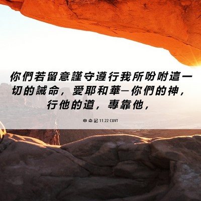 Picture 06 - 申 命 記 11:22 CUVT - 你 們 若 留 意 謹 守 遵 行 我 所 吩 - Bible Verse Picture